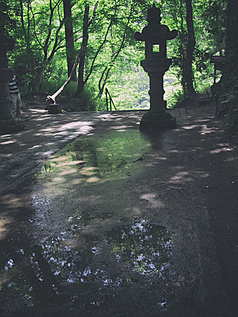 新緑の香積寺参道