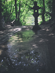 新緑の香積寺参道