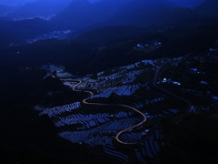 夜の丸山千枚田