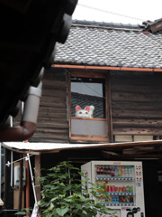 お出でよ。