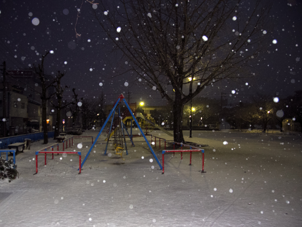 今朝の雪景色