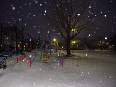 今朝の雪景色