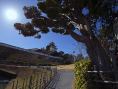 掛川城