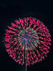 HANABI