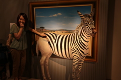 大トリックアート展開催！