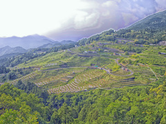 ＨＤＲ丸山千枚田
