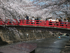 賑わいの芭蕉結びの地