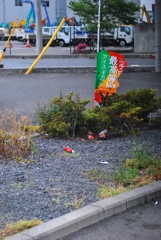 ポイ捨てですね