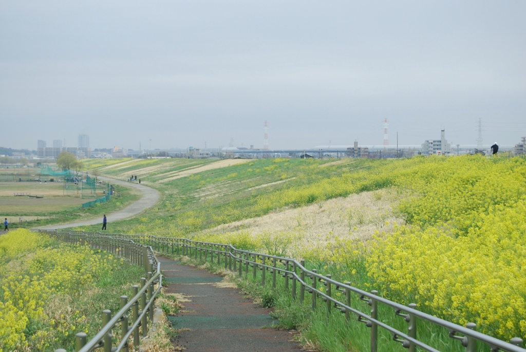 2024河川敷で1