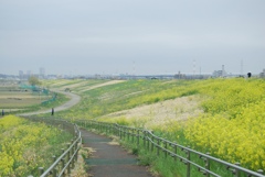 2024河川敷で1