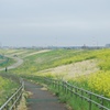2024河川敷で1