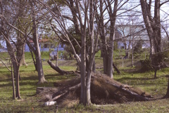 2024河川敷公園で1