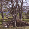 2024河川敷公園で1