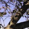 木の質感