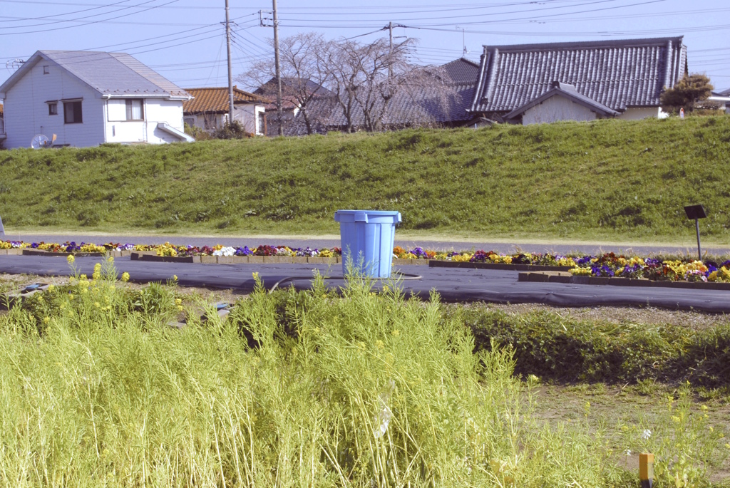 2024河川敷公園で3
