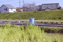 2024河川敷公園で3