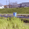 2024河川敷公園で3