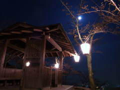尾道の千光寺公園展望台