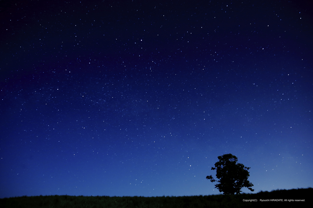 今日の星空