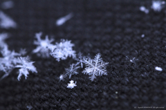 一粒の雪模様
