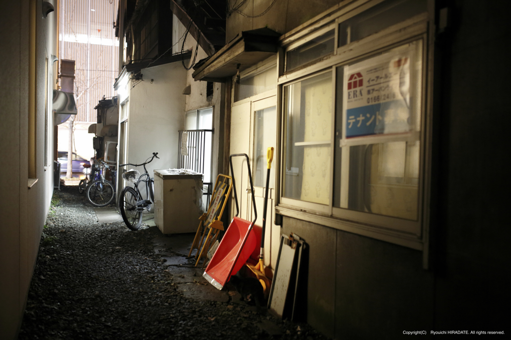 路地の隙間