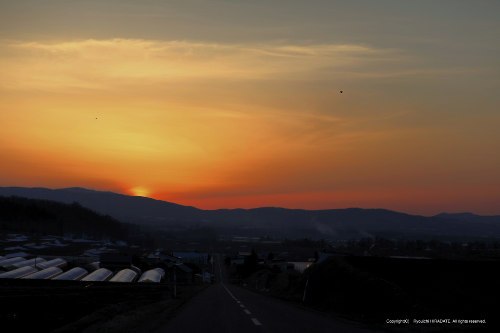 今日の夕日