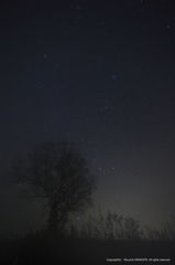 Orion in the Mist