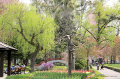 春本番の公園