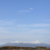 秋空へ舞う