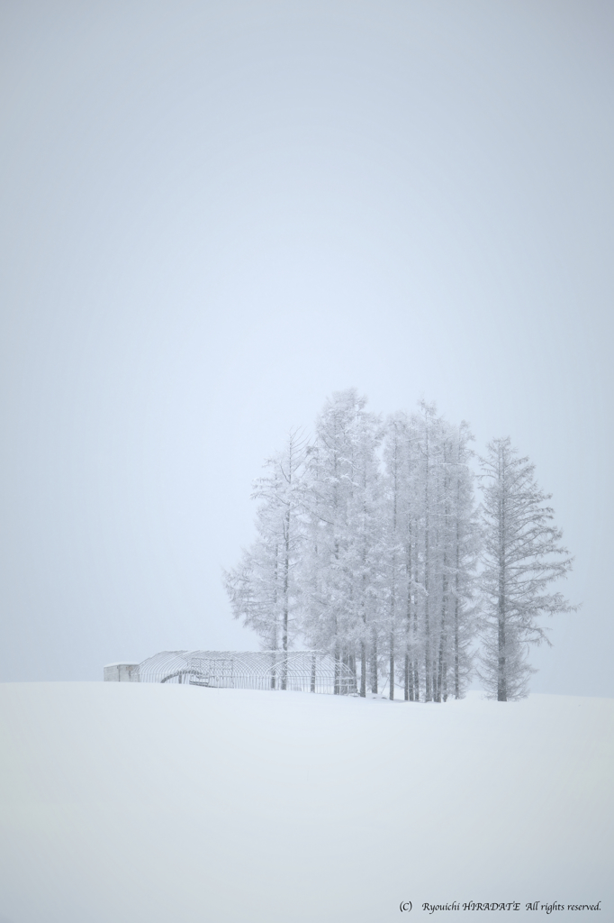 丘陵の雪景色