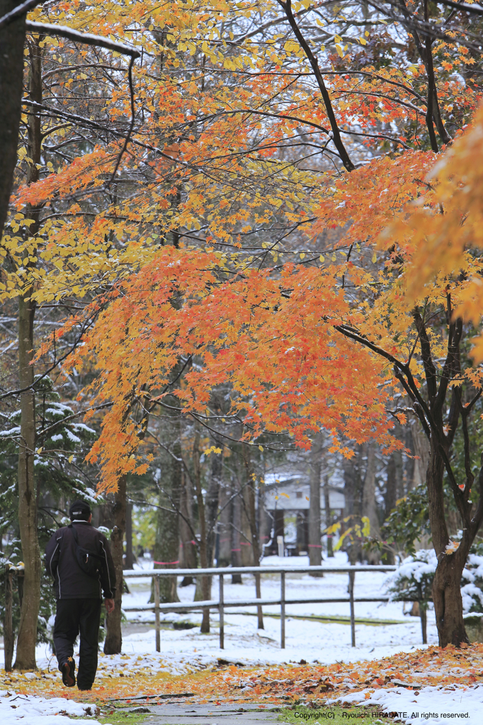 公園散歩