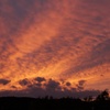 ある日の夕日