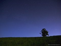草原の夜空