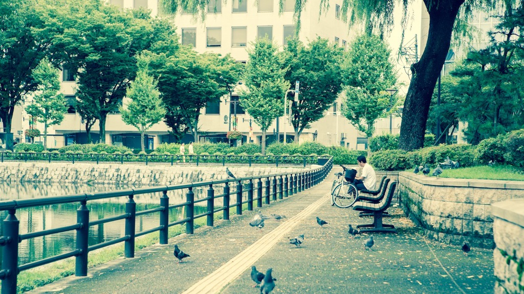 池と鳩とおじさん