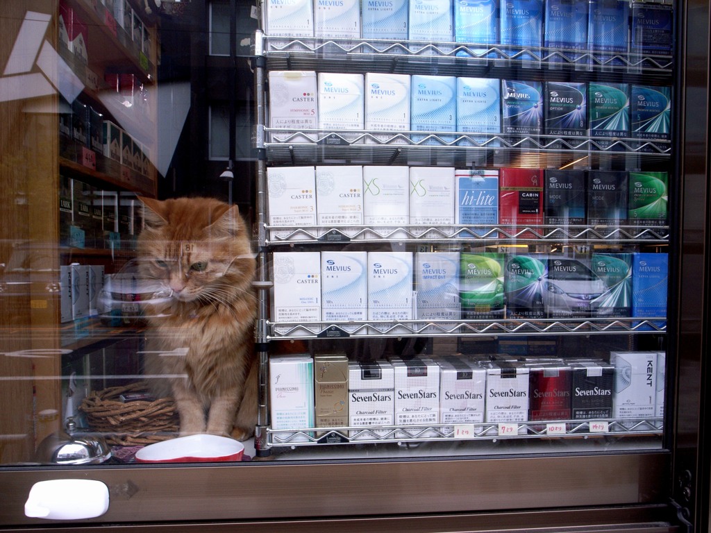 タバコ屋の・・・
