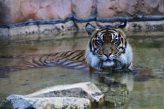 上野動物園