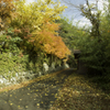 一宮町福地20131123-DDS_1461