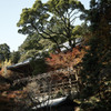 摩尼殿 - 書寫山圓教寺