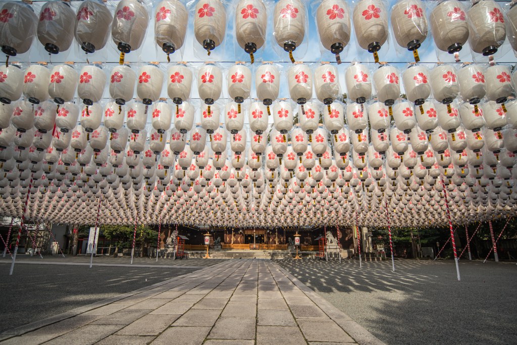 万灯祭20131230-DDS_3418-2
