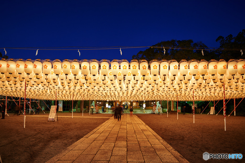 姫路護国神社万燈祭