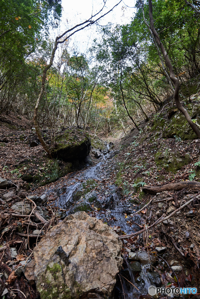 天滝登山道（1）