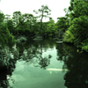 好古園築山池泉の庭　20131102