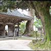 樹齢1200年の御神木