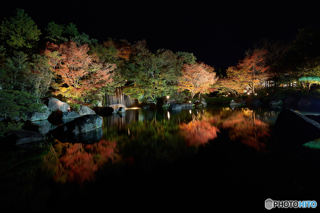 好古園紅葉会夜景DDS_4367