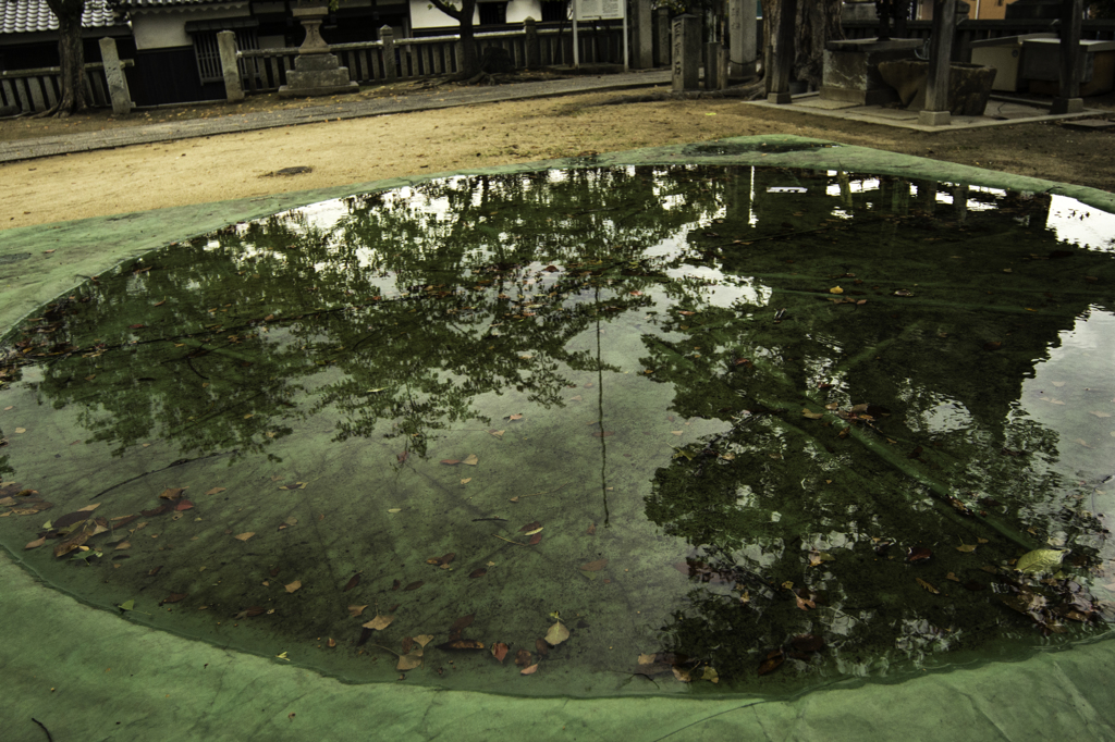 チビッコ相撲の休日　20131019