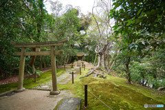 岡山後楽園蔵王堂