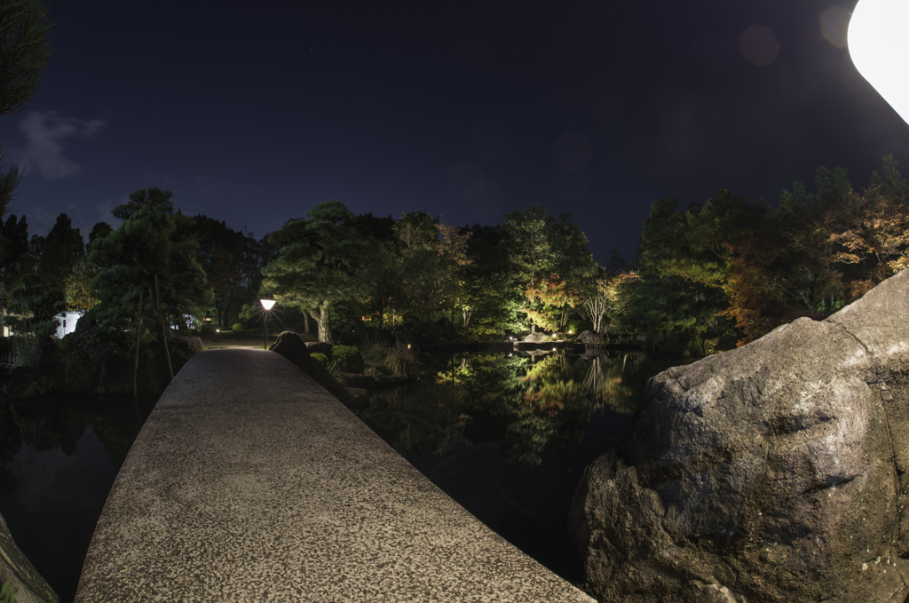 好古園紅葉会（６）20131115-DDS_1190-2