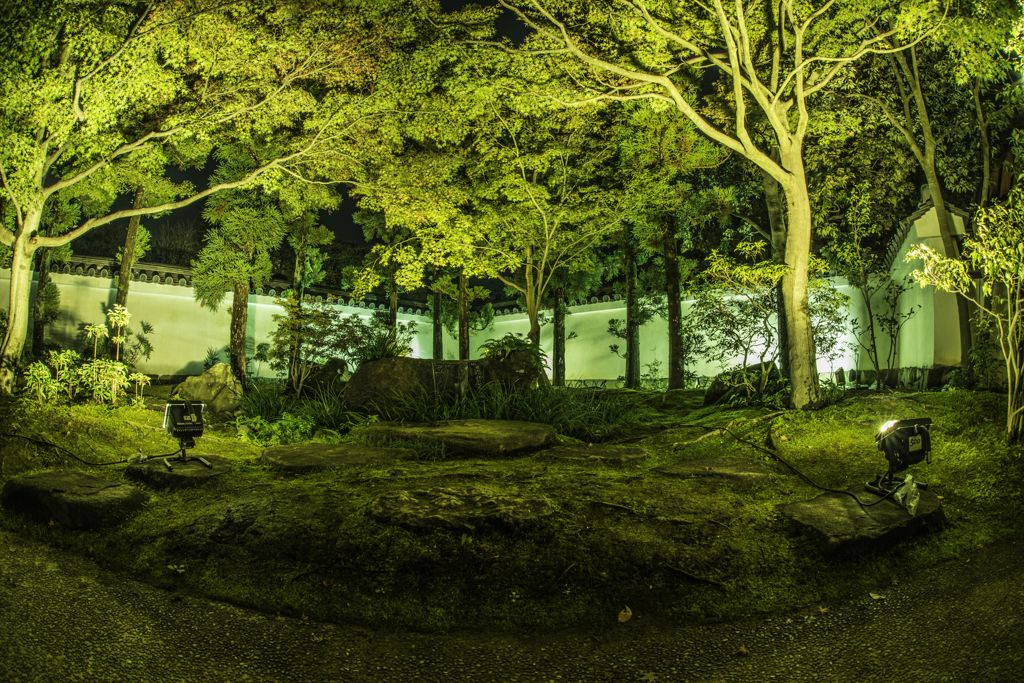 好古園紅葉会（２）20131115-DDS_1198-2