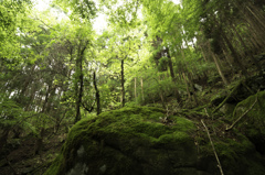 行者山で往生す　20130907