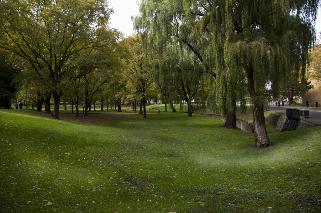 北大中央ローン